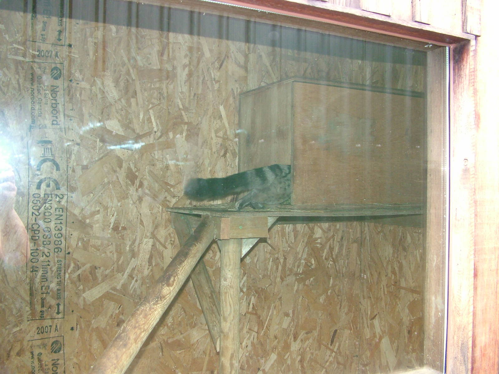 Oh so close! at the RSCC, 31/07/10