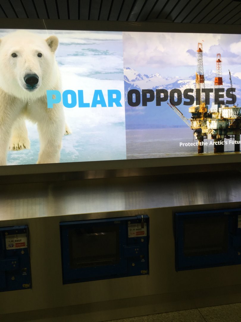 O'Hare Airport - Polar Bear Sign