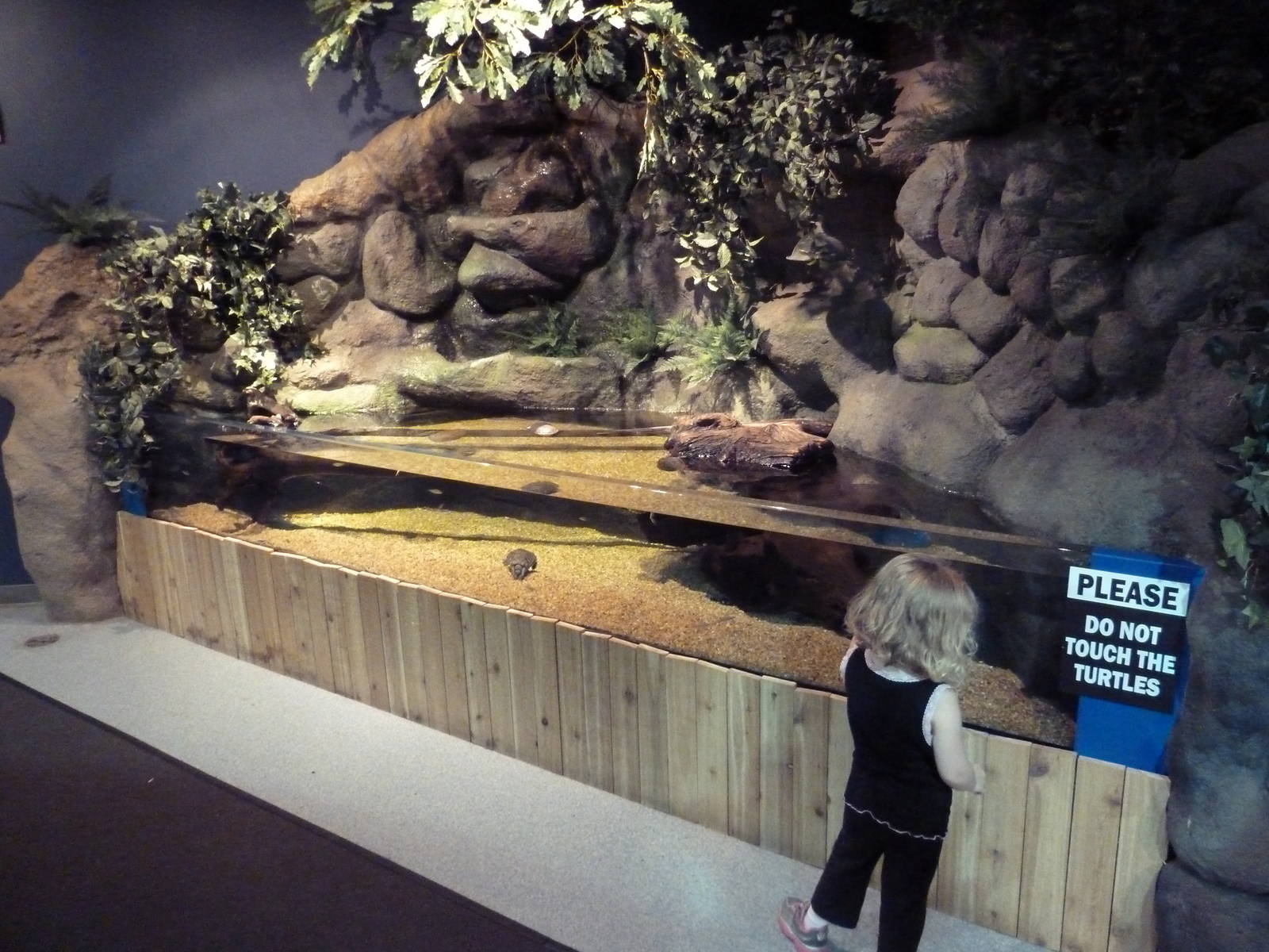 Ohio Lakes + Rivers - Turtle Tank (Open-Topped)