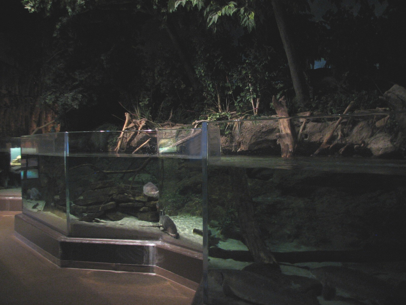 Ohio Riverbank - River Exhibit
