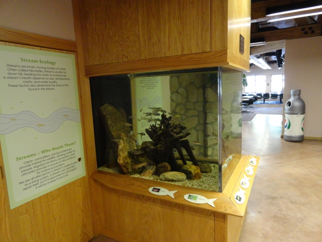 Ohio Stream Fish exhibit in Komodo Kingdom