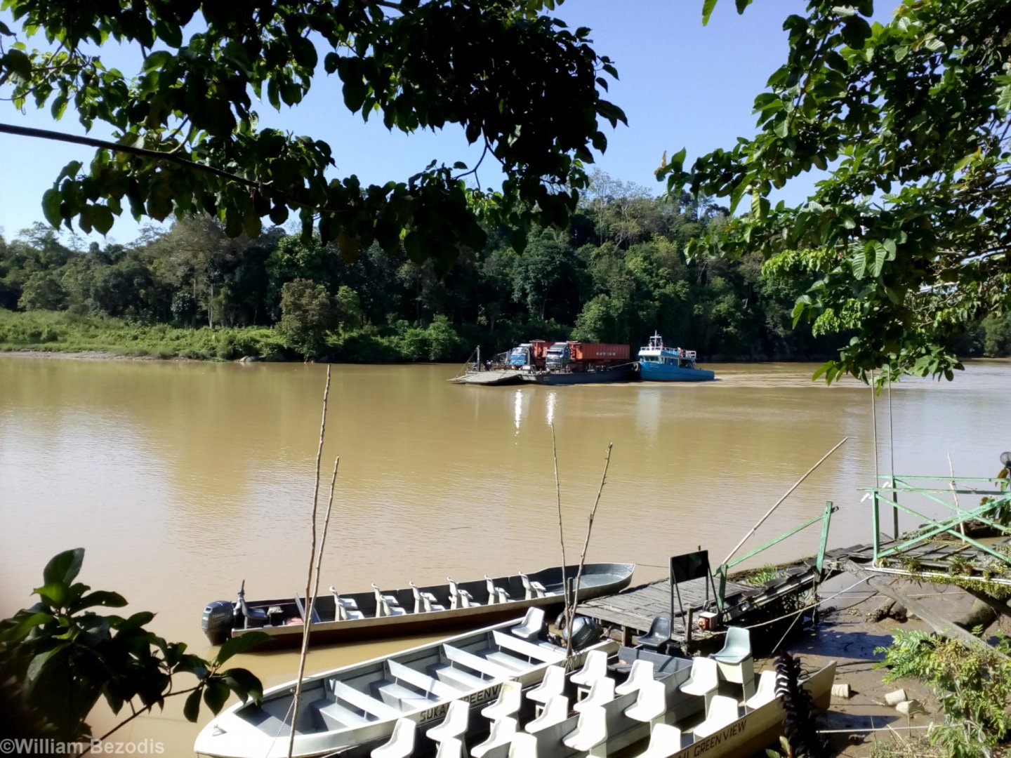 Oil Palm Fruit Transport on the Kinabatangan