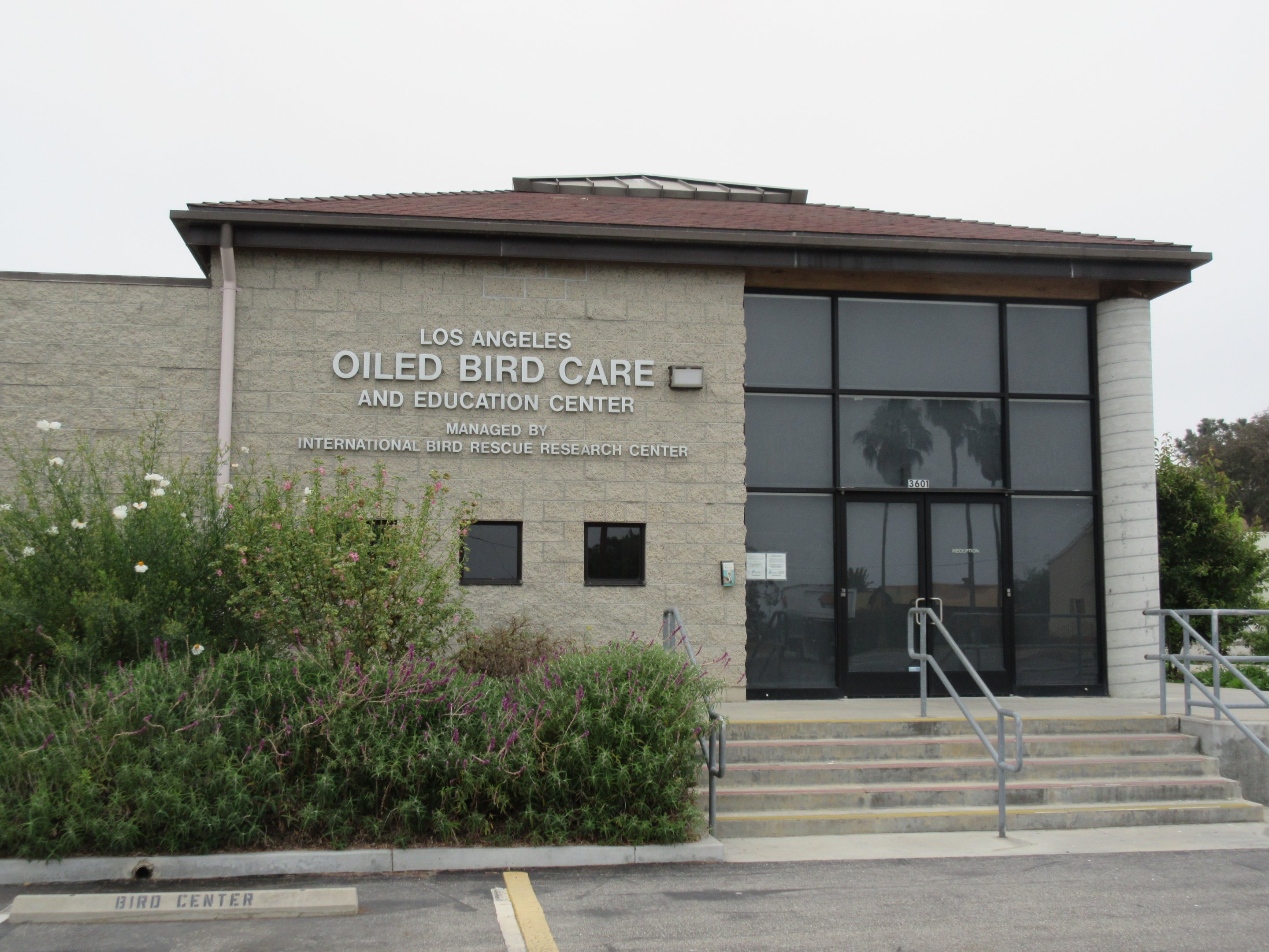 Oiled Bird Care + Education Center (closed to the public) - San Pedro Facility