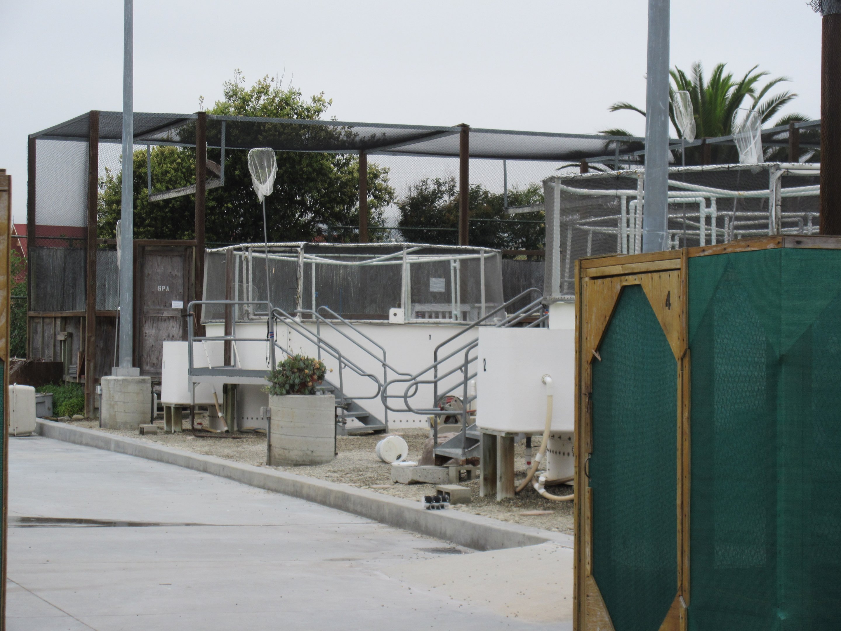 Oiled Bird Care + Education Center (closed to the public) - San Pedro Facility