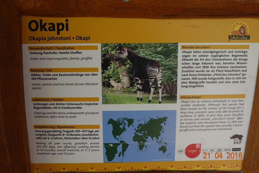 Okapi 21.4.16
