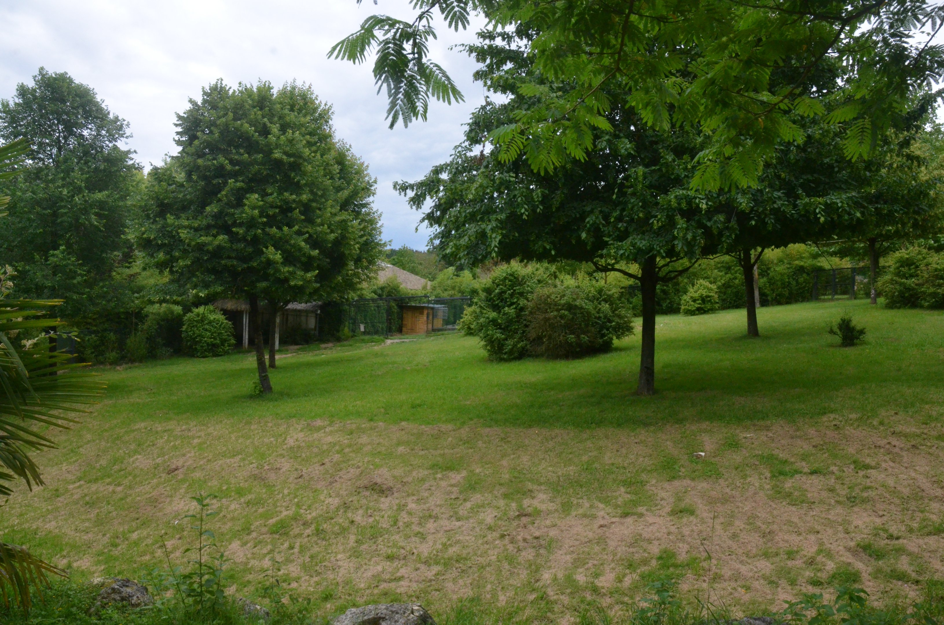 Okapi and Crane Enclosures at Beauval, 12/06/18