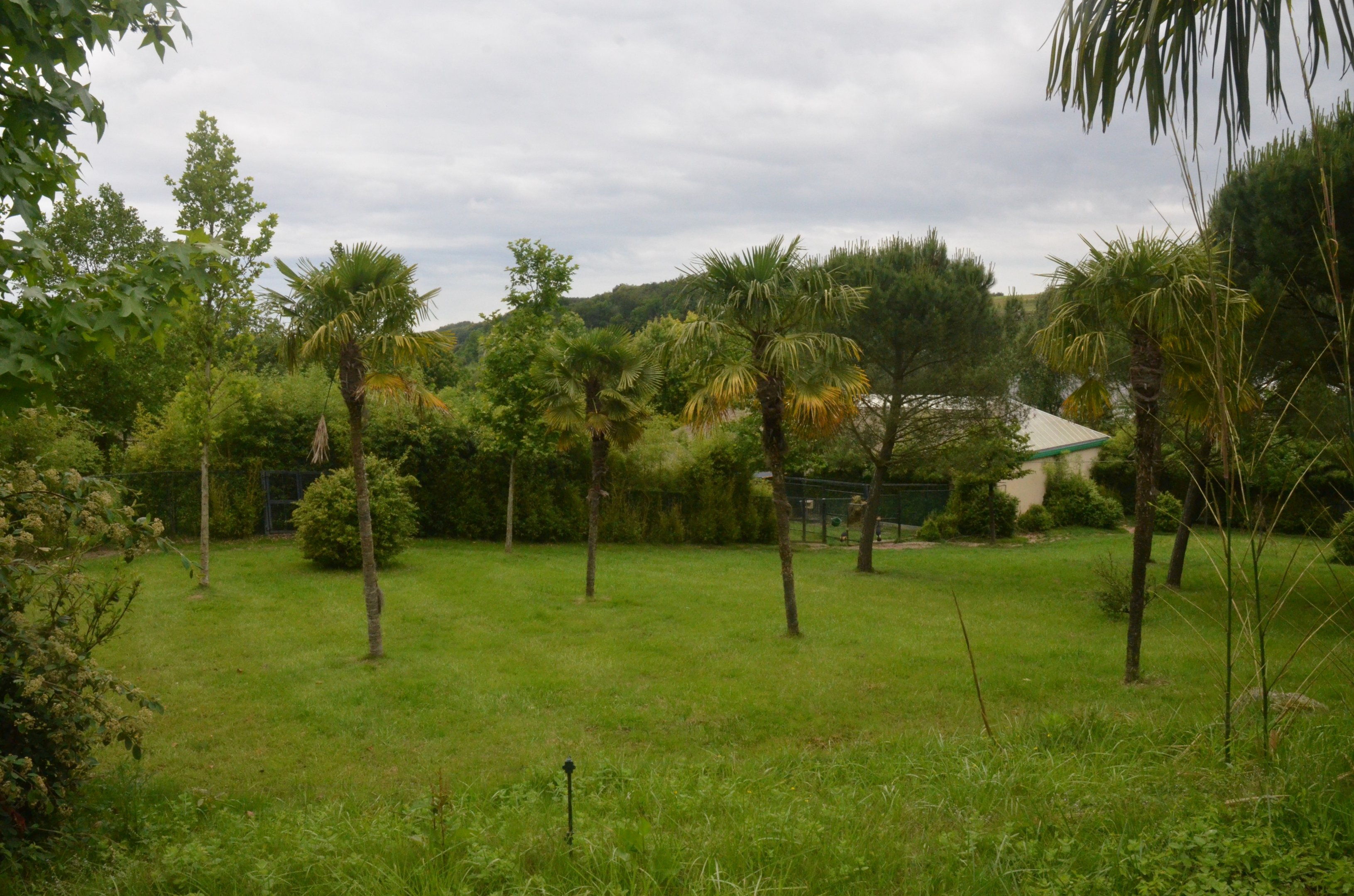 Okapi and Crane Enclosures at Beauval, 12/06/18