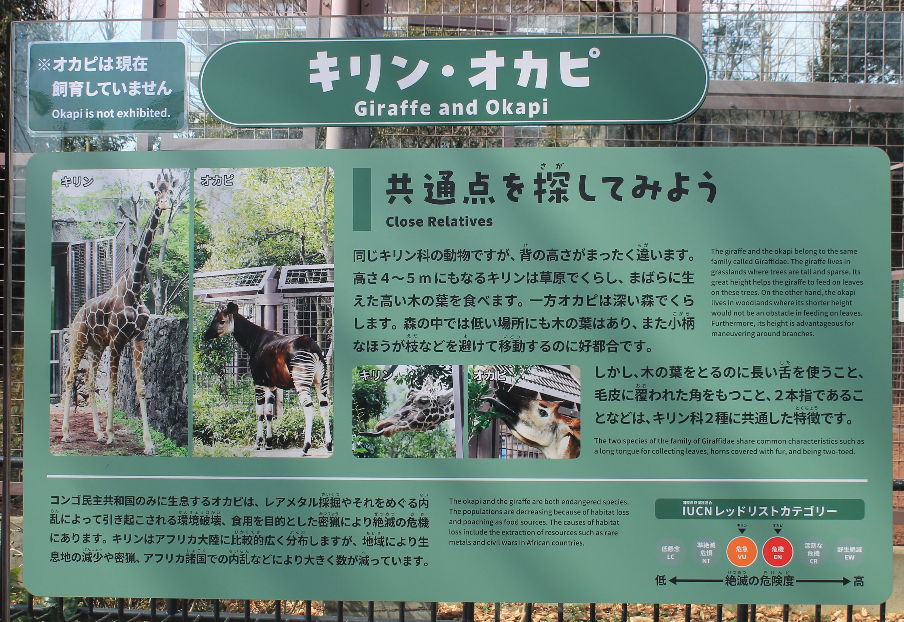 Okapi and Giraffe signage