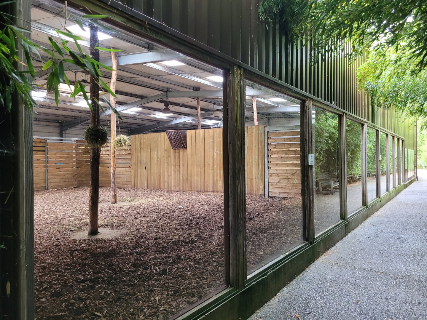 Okapi and Kirk's dik-dik indoors exhibit -Zoo du bassin d'Arcachon (2024)