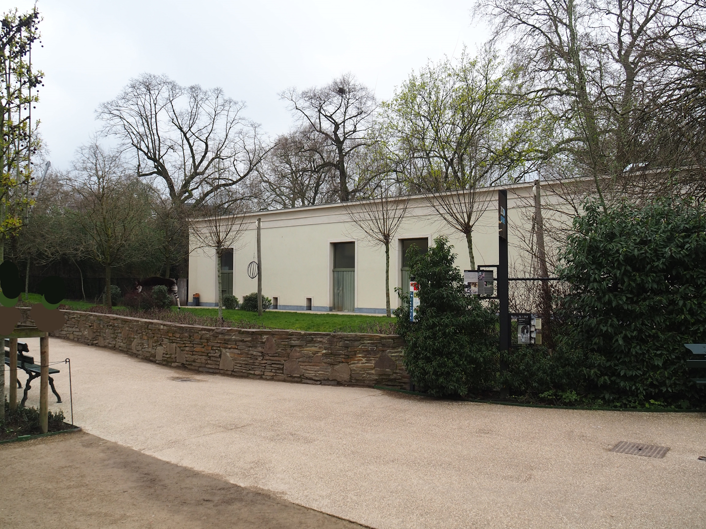 Okapi and Red duiker paddock at the backside of the Moorish Temple, 2023-04-08