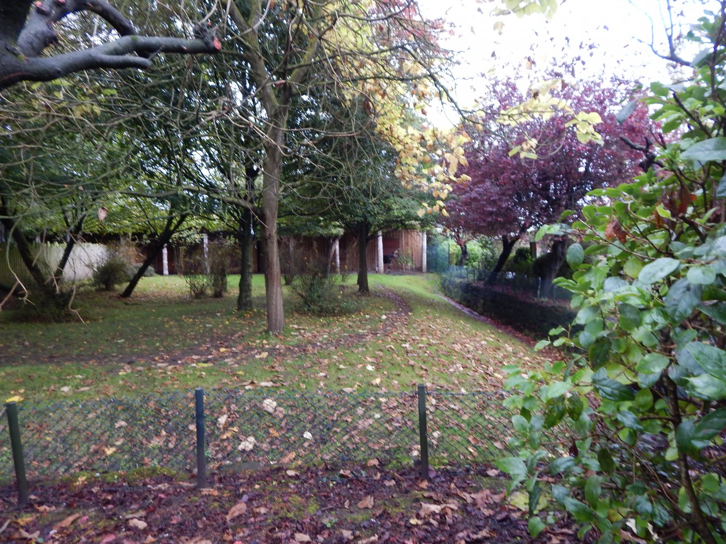 Okapi and Red forest duiker exhibit 191021