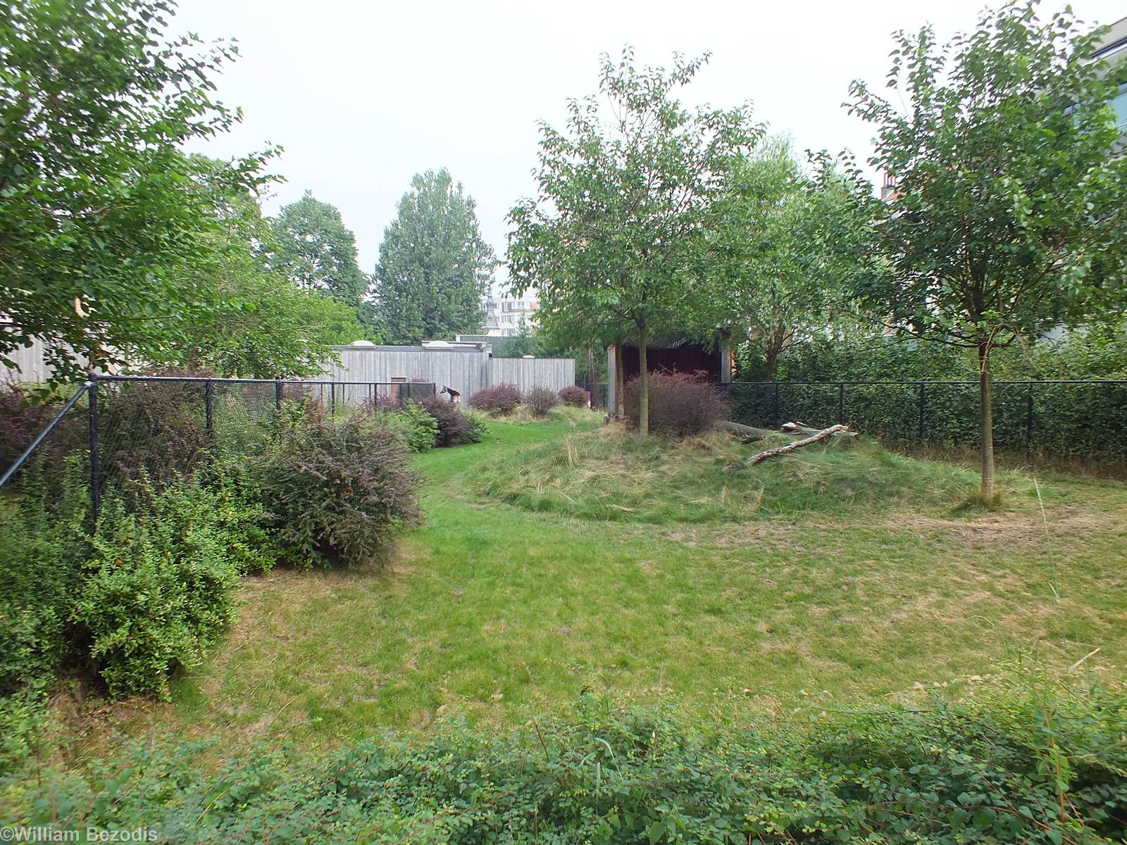 Okapi + Dik dik Enclosure