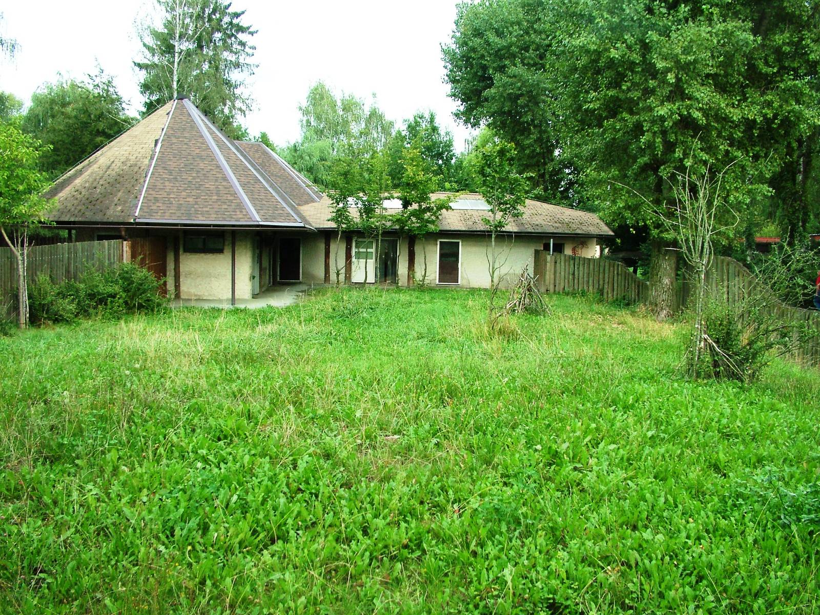 Okapi/Duiker Paddock at Dvur Kralove, 26/08/12