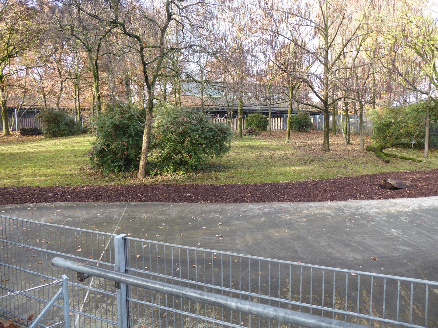 Okapi enclosure 011218