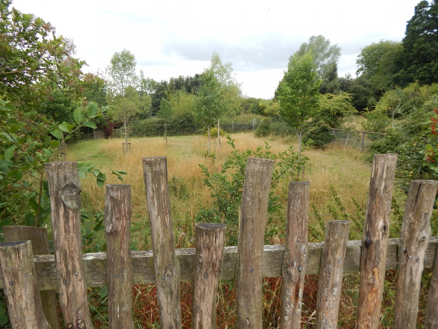 Okapi enclosure 150725