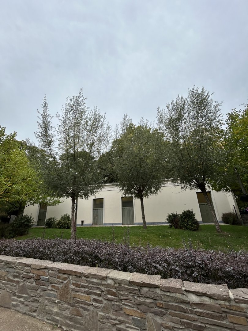 Okapi enclosure at the side of the parrot aviaries