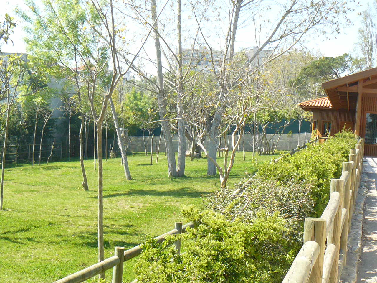 Okapi Enclosure - Mar 2009