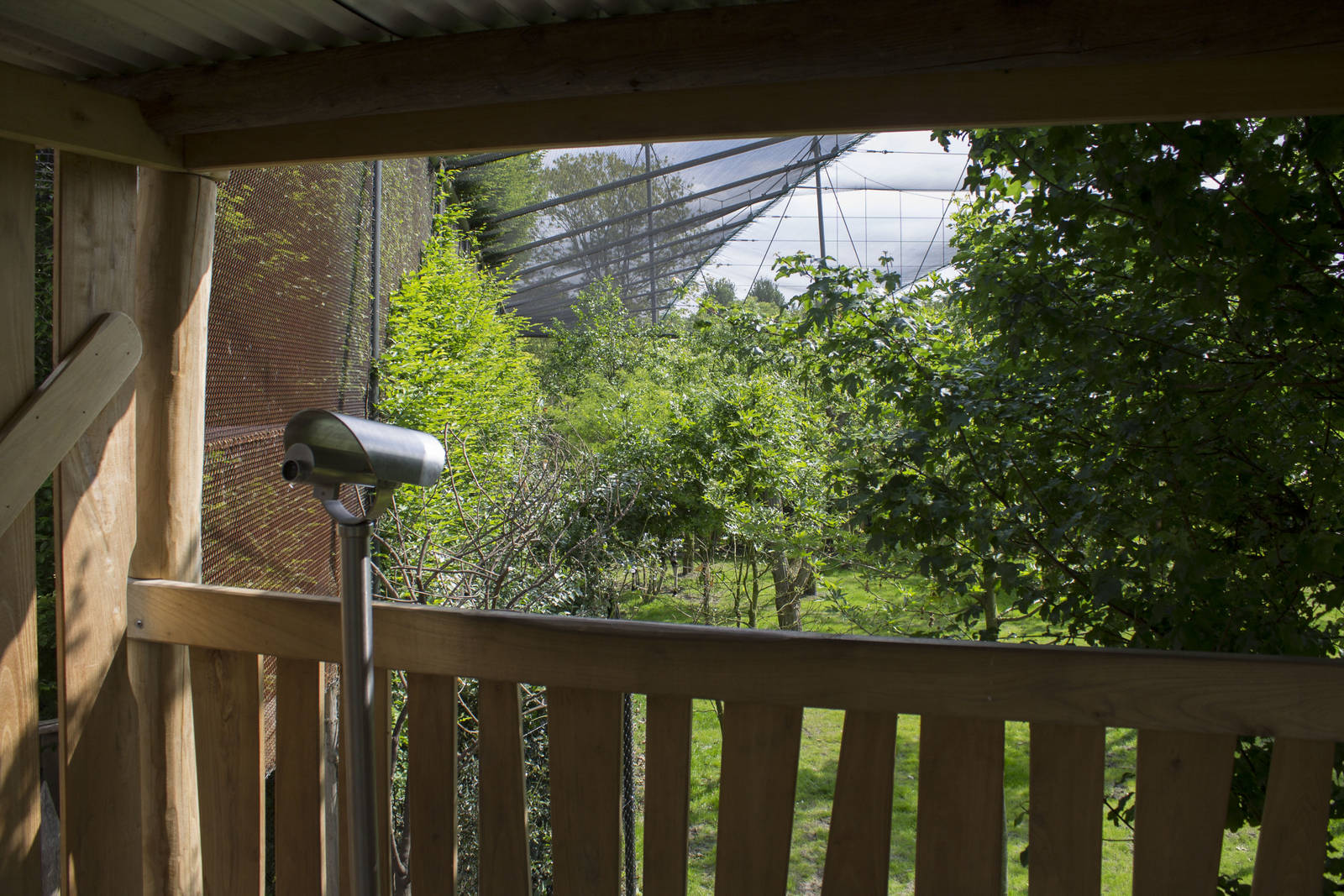Okapi enclosure - Observation point