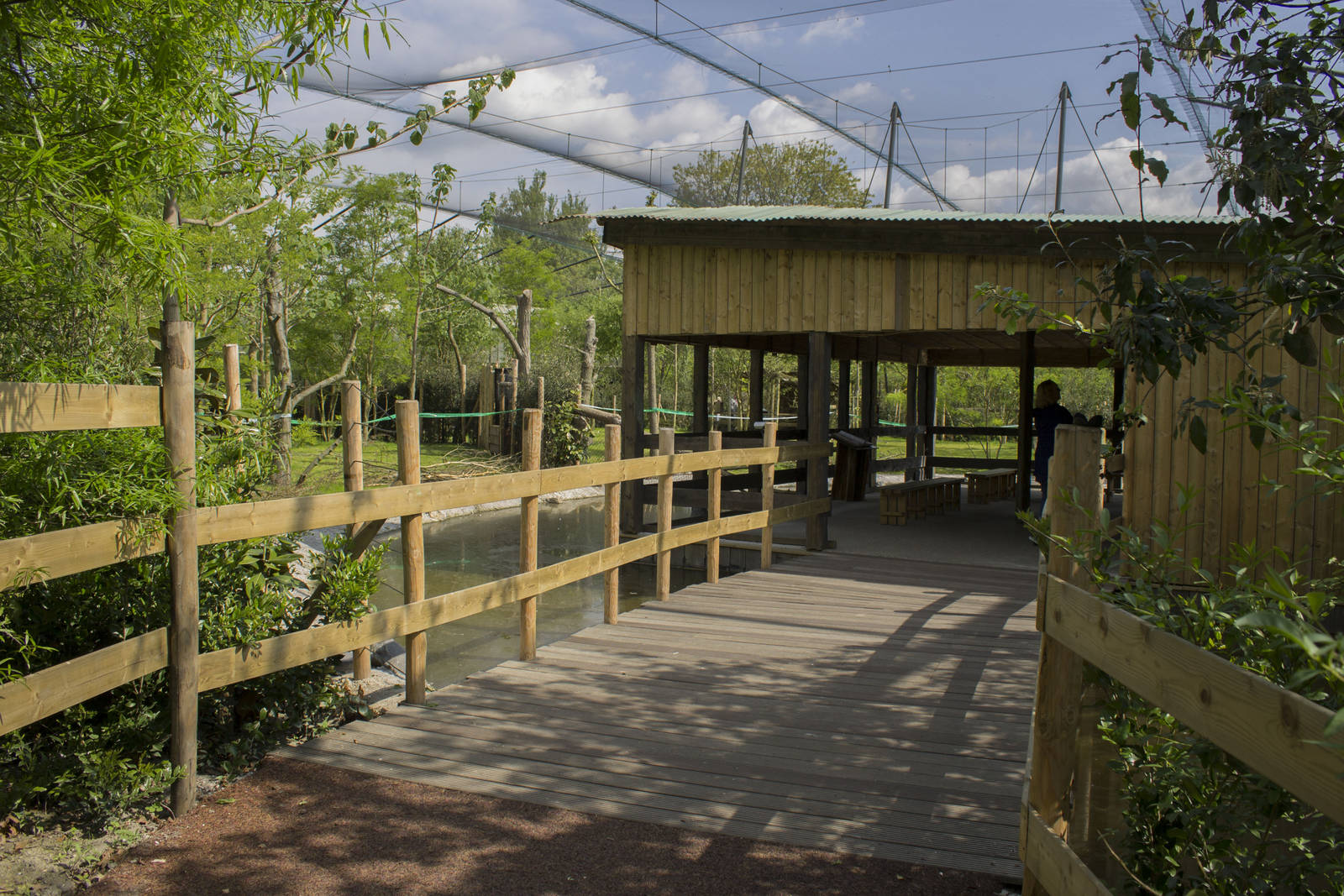 Okapi enclosure - Viewing lodge