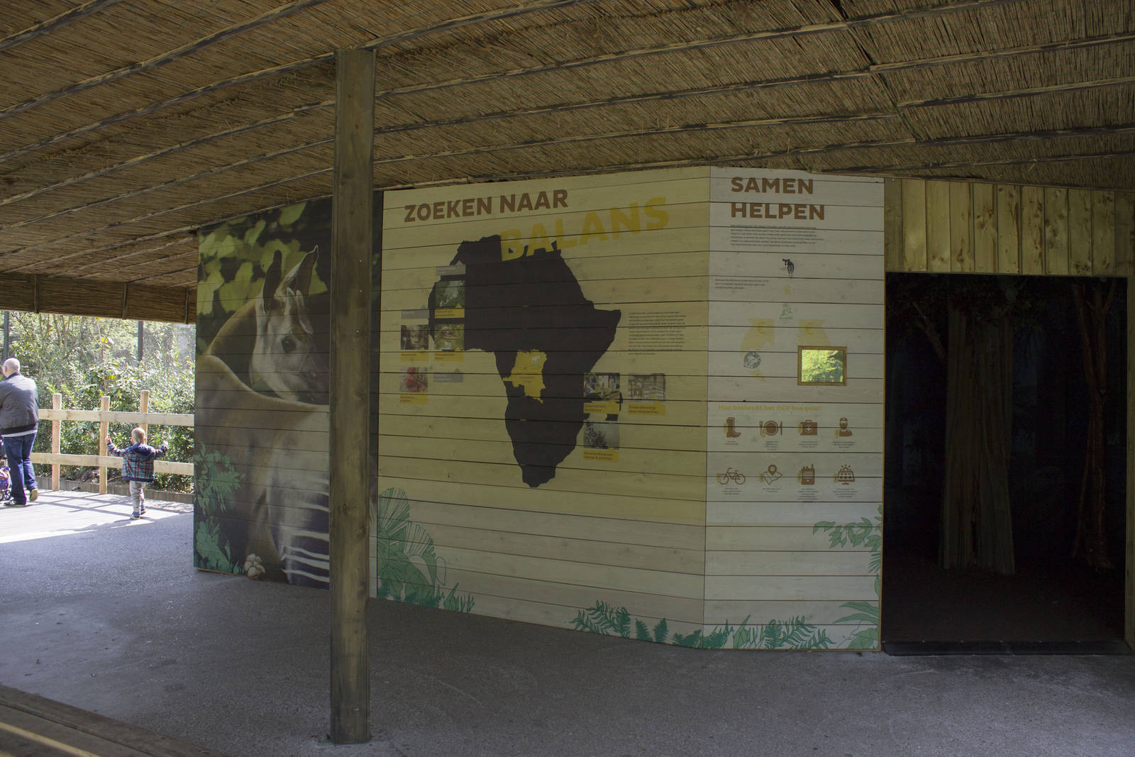 Okapi enclosure - Viewing lodge