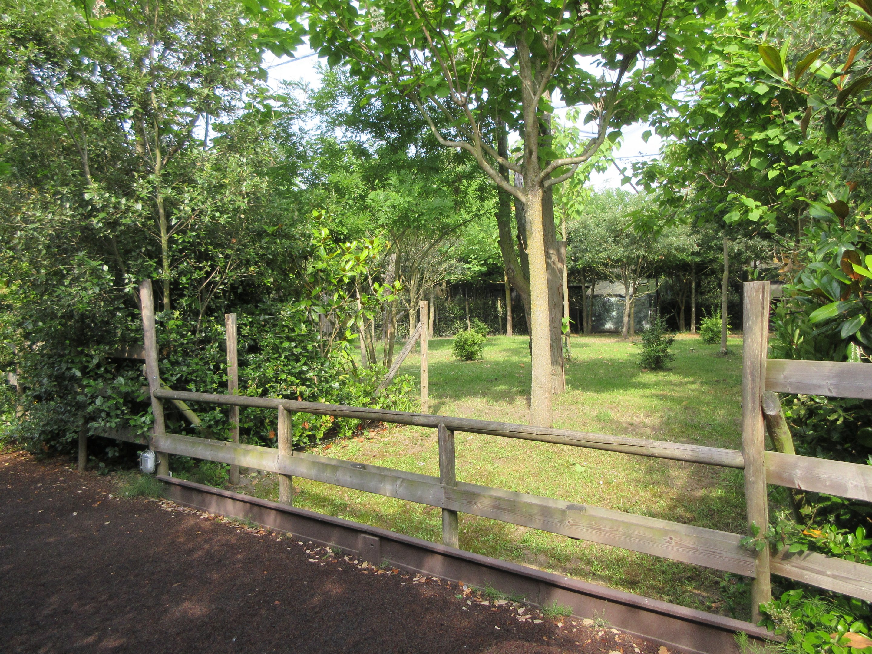 Okapi Exhibit #2 - minimal barrier