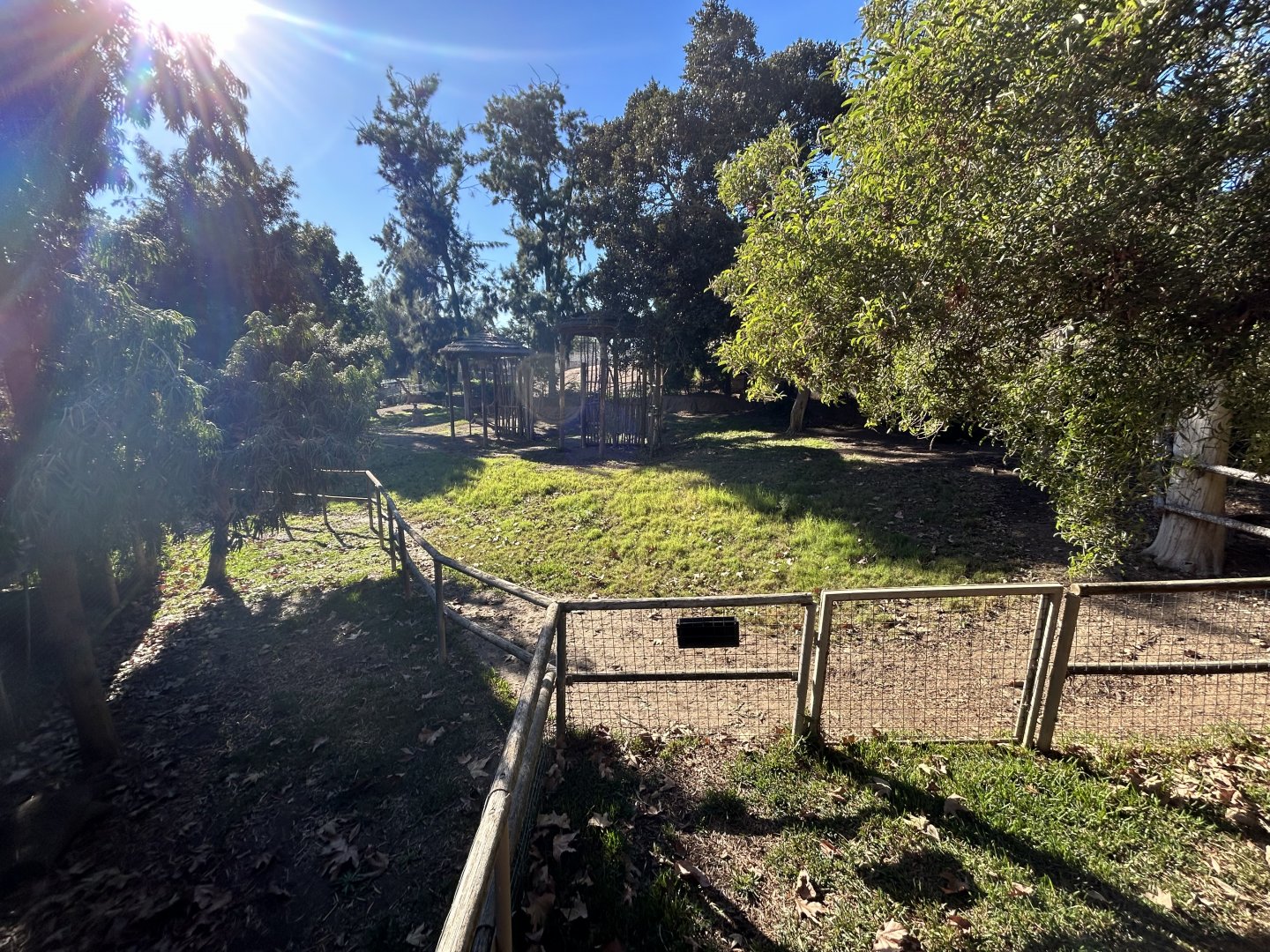 Okapi Exhibit - African Loop