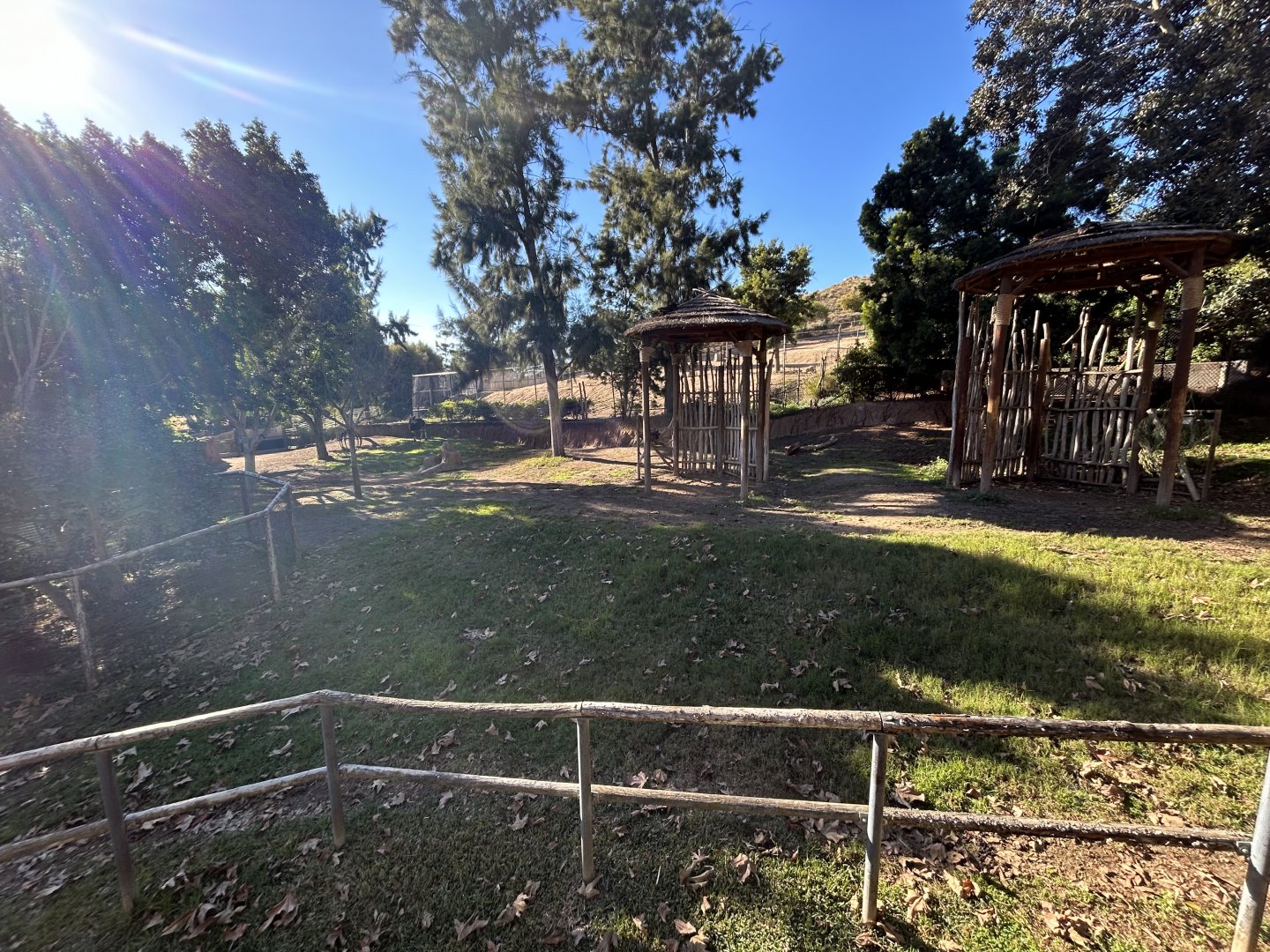 Okapi Exhibit - African Loop