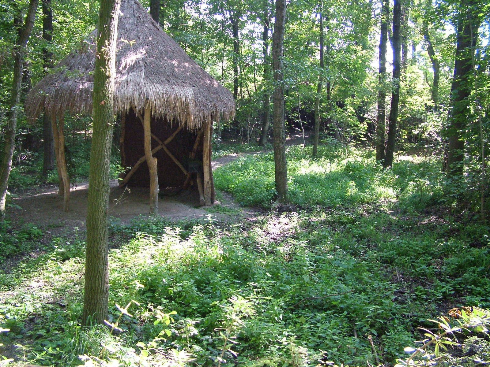 Okapi Exhibit at Leipzig, 02/09/11