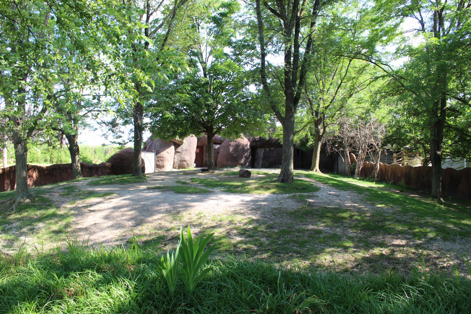 Okapi Exhibit - Red Rocks