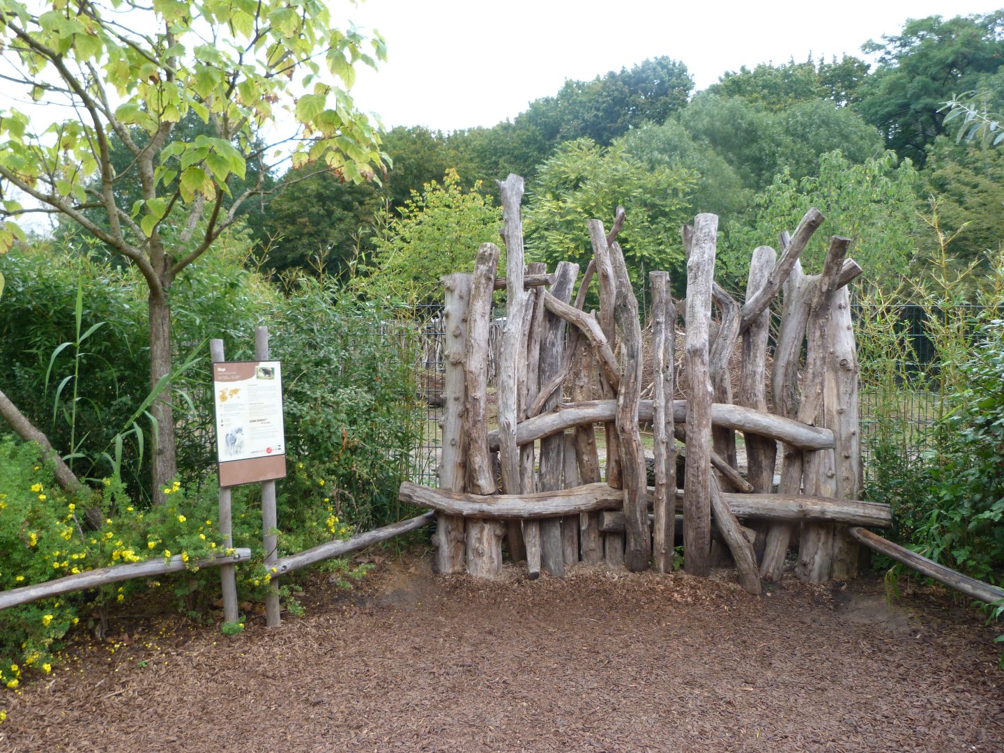 Okapi exhibit -Tierpark Berlin (2024)