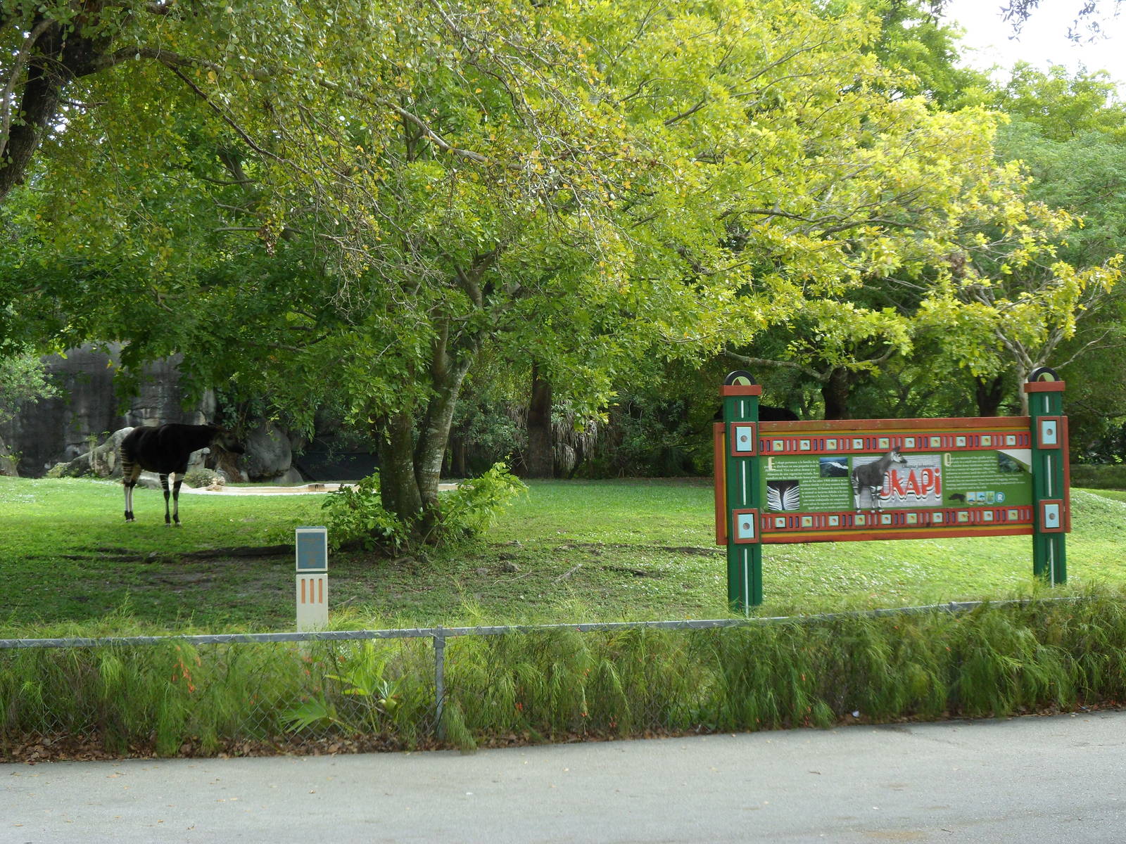 Okapi Exhibit