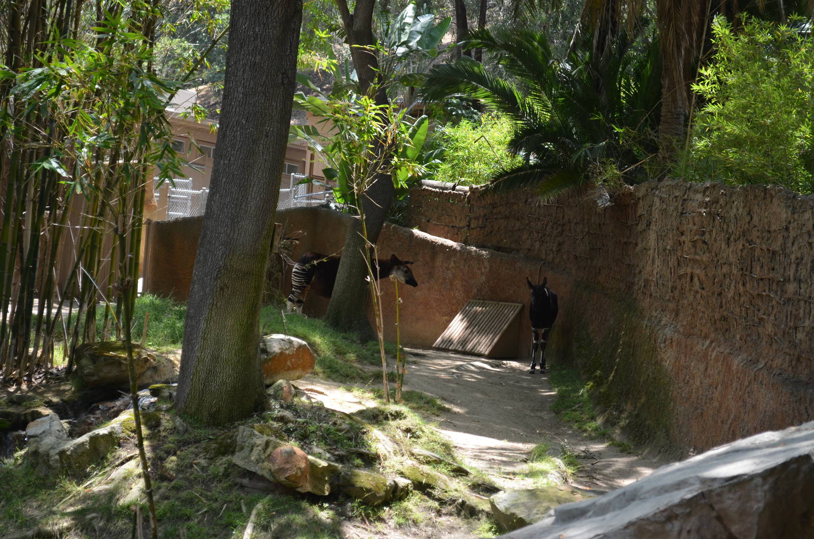 Okapi Exhibit