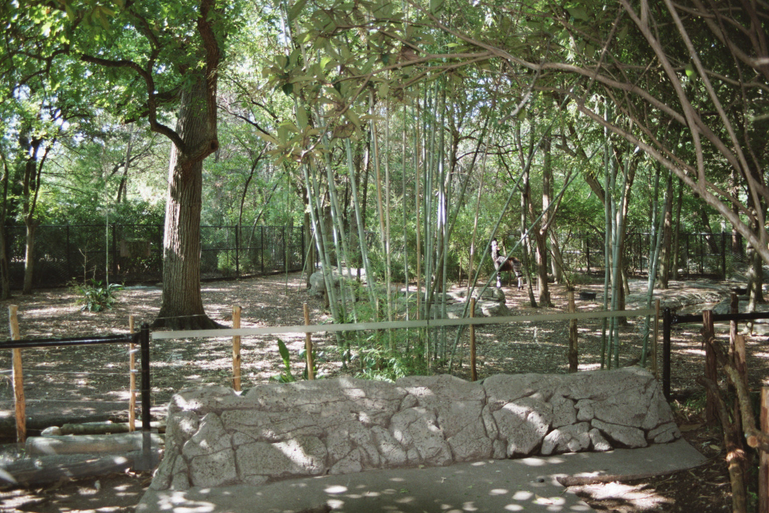 Okapi Exhibit