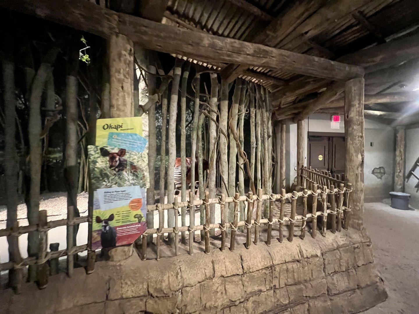 Okapi Exhibit