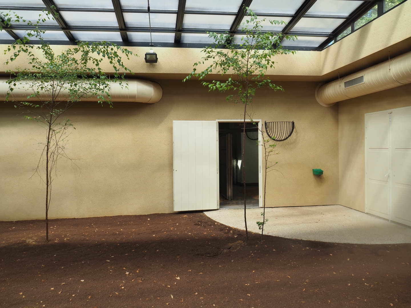 Okapi greenhouse - Indoor exhibit okapi/red duiker