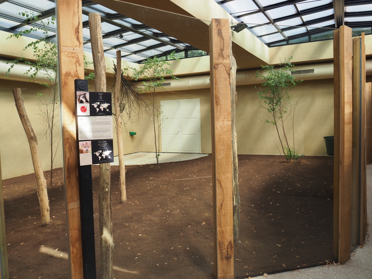 Okapi greenhouse - Indoor exhibit okapi/red duiker
