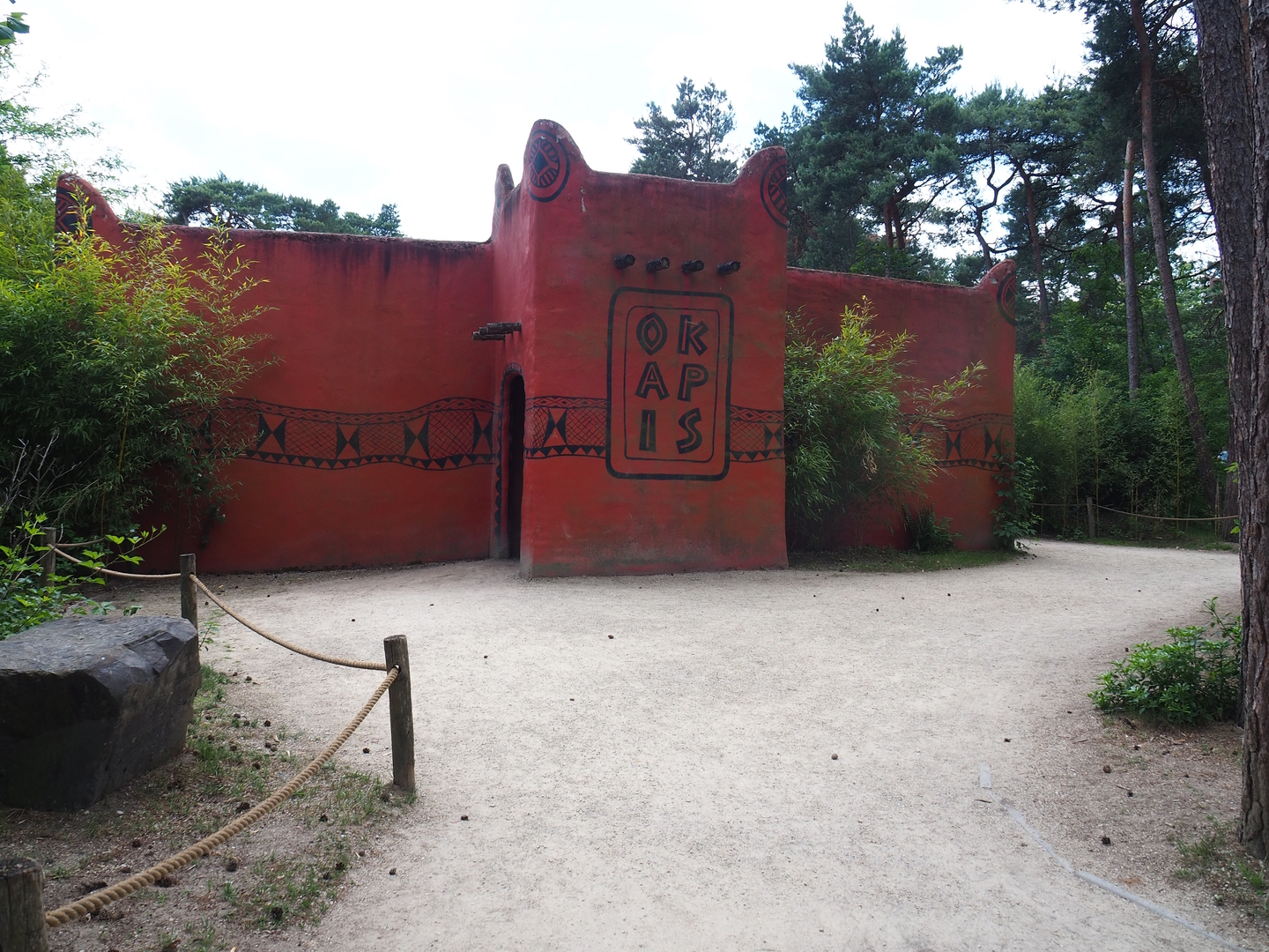 Okapi house, 2022-06-12