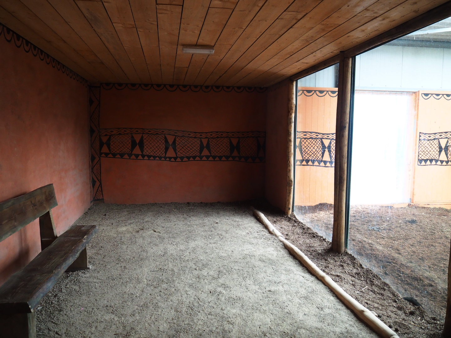 Okapi house viewing area, 2019-09-15