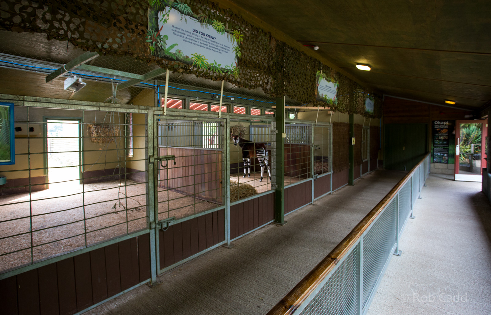 Okapi housing : Marwell : 08 Aug 2014