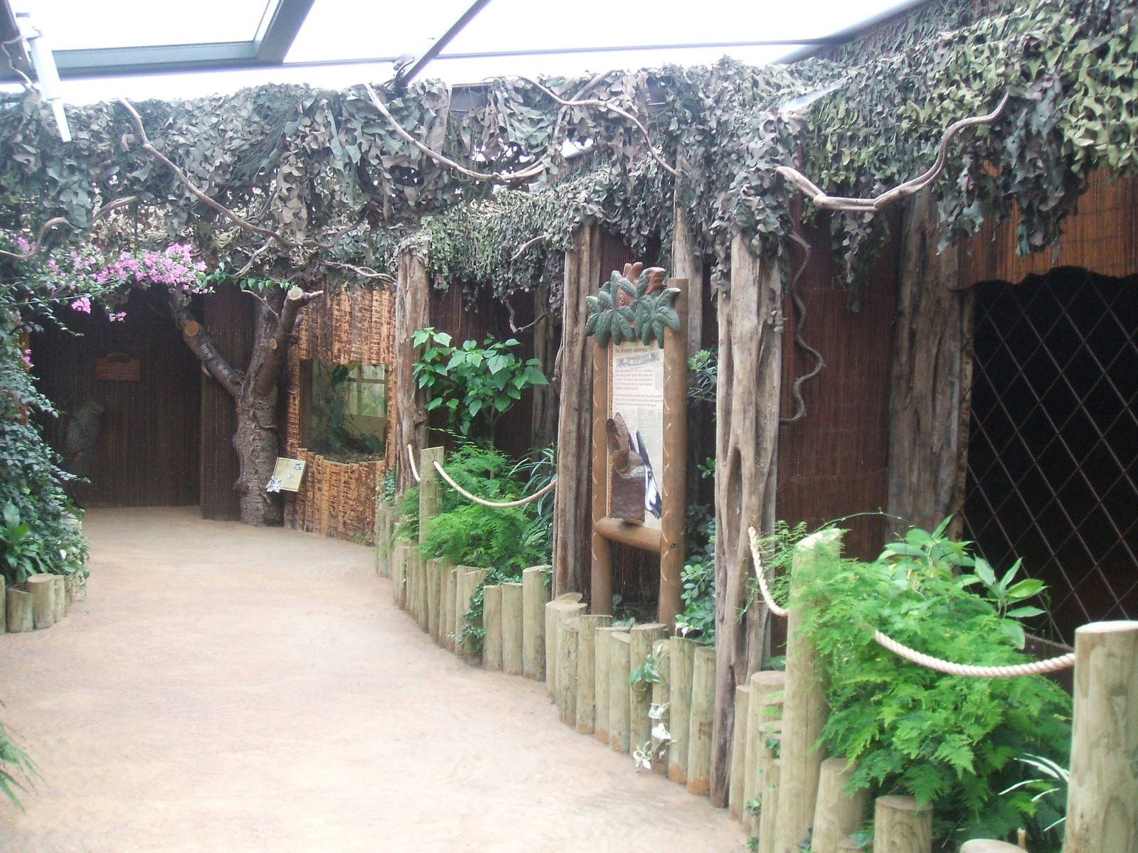 Okapi Indoor Area