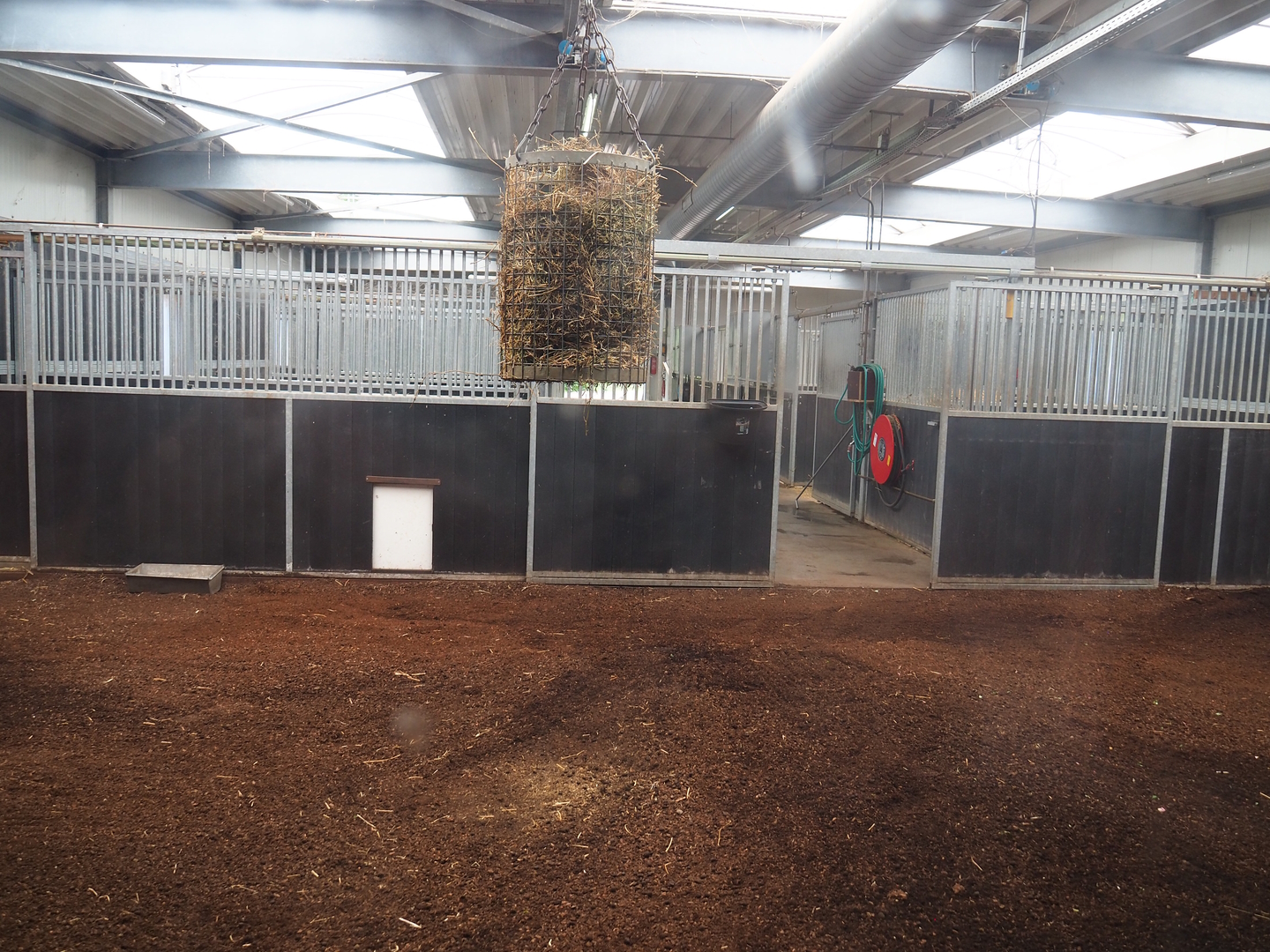 Okapi indoor housing, 2022-06-12