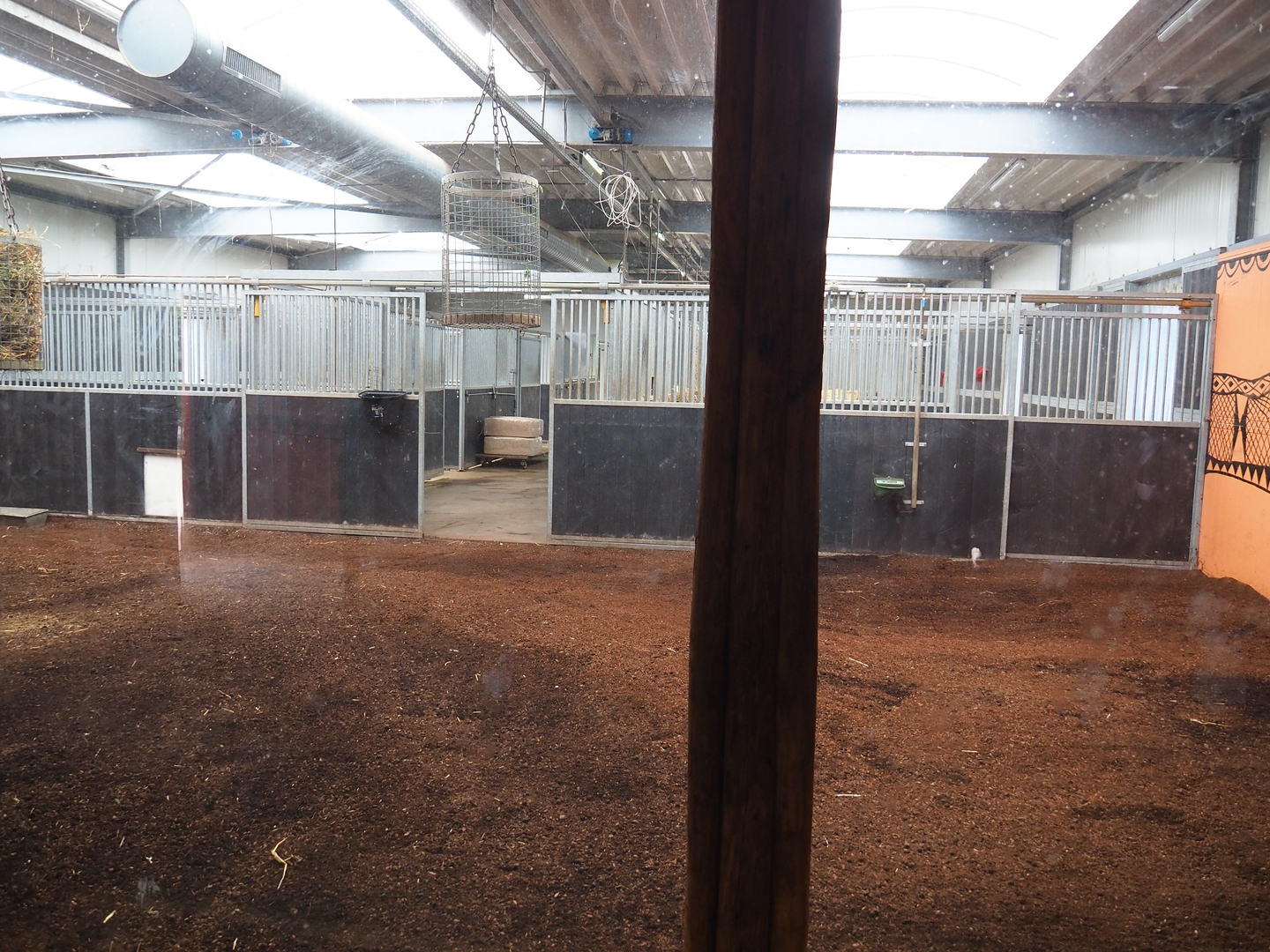 Okapi indoor housing, 2022-06-12