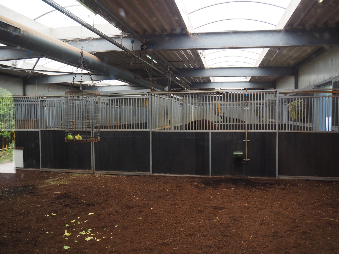 Okapi indoor housing, 2025-04-30