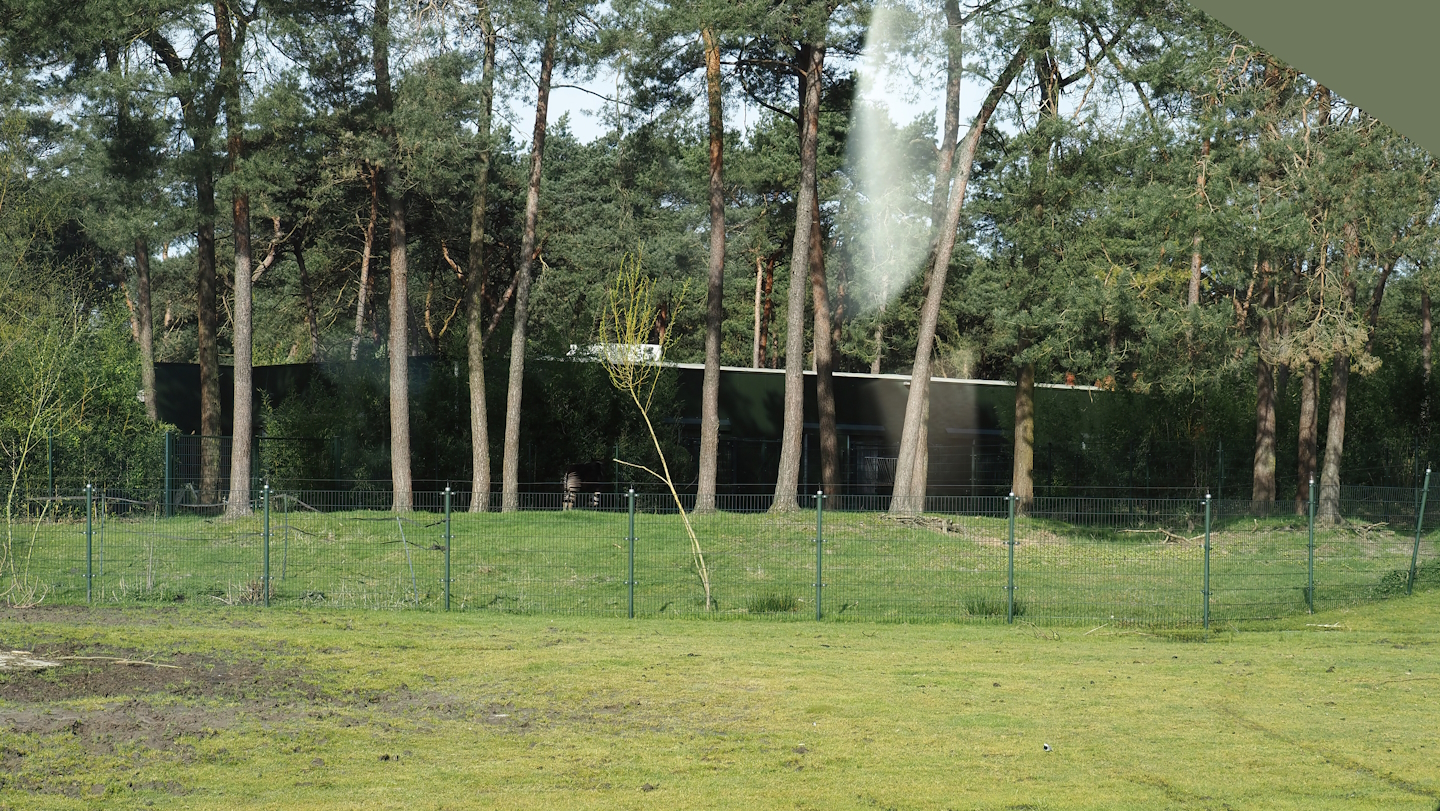 Okapi paddock and okapi house seen from the car safari, 2024-04-06