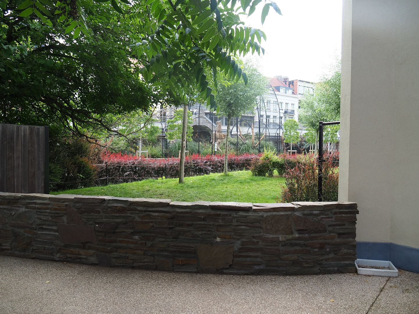 Okapi paddock at the backside of the Moorish temple, 2022-07-10