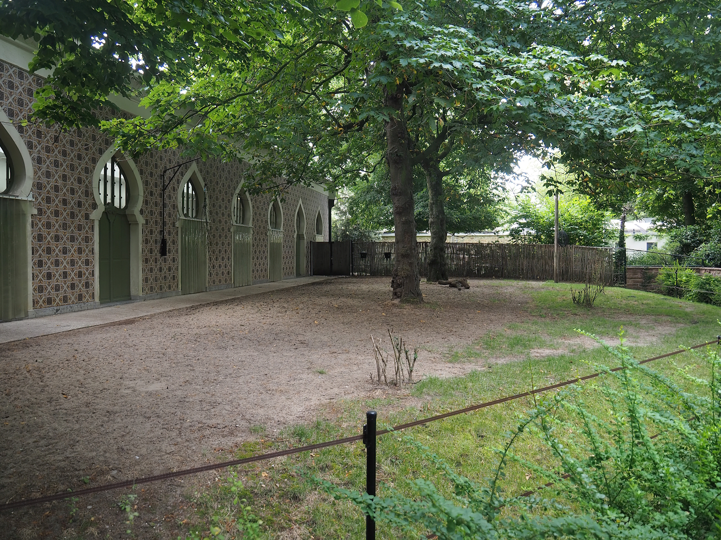 Okapi paddock at the front of the Moorish temple, 2022-07-10