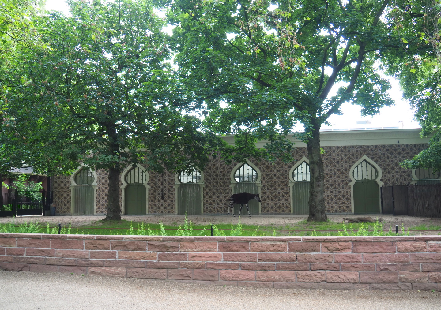 Okapi paddock in front of the Moorish Temple, 2021-06-12