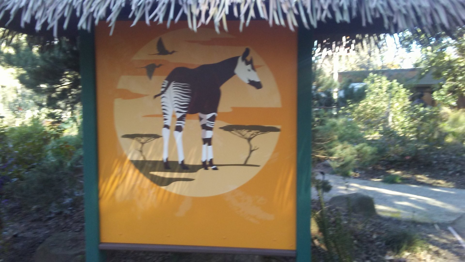 Okapi painting