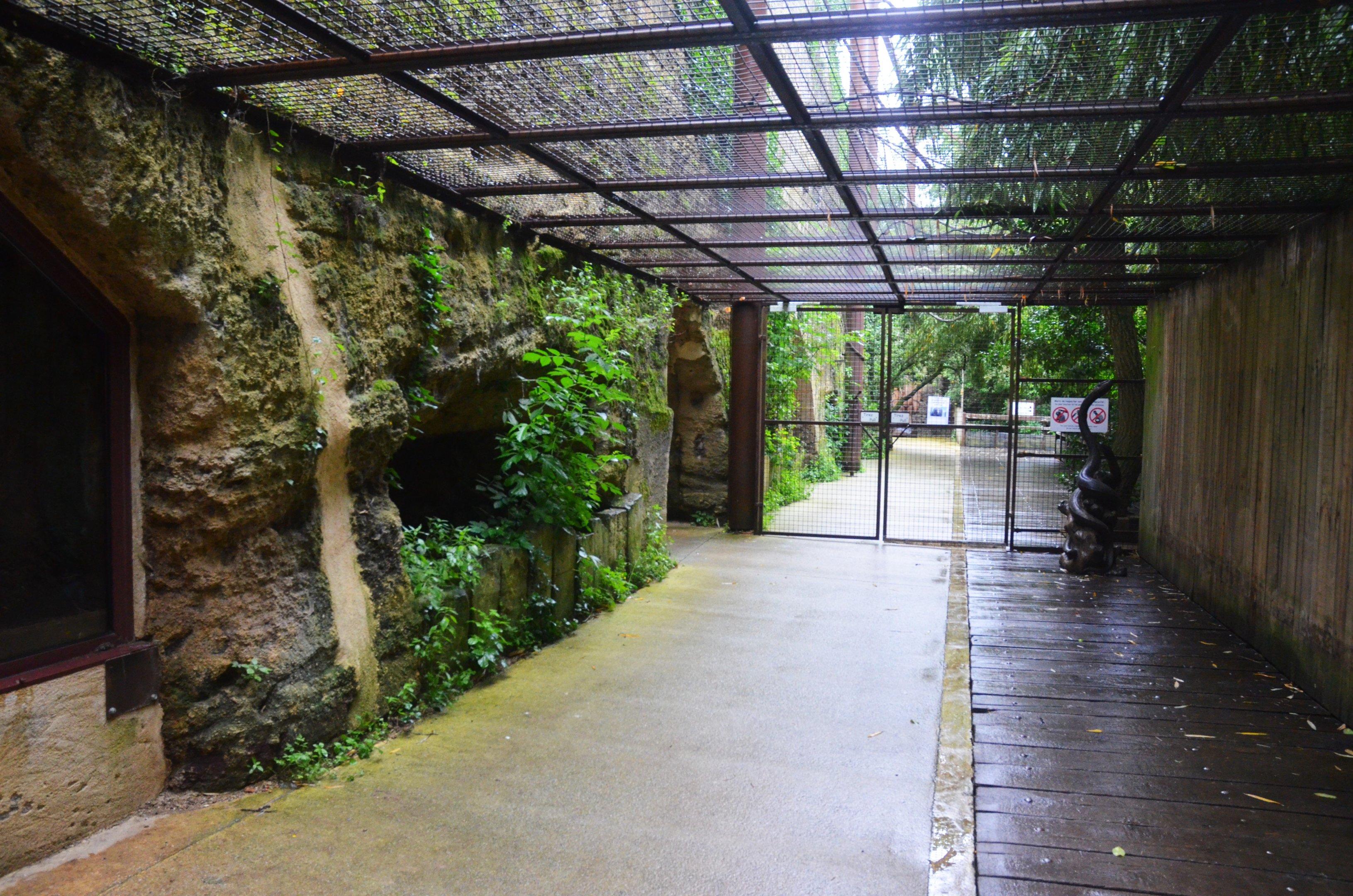 Okapi Sanctuary Aviary at Doué-la-Fontaine, 15/06/18