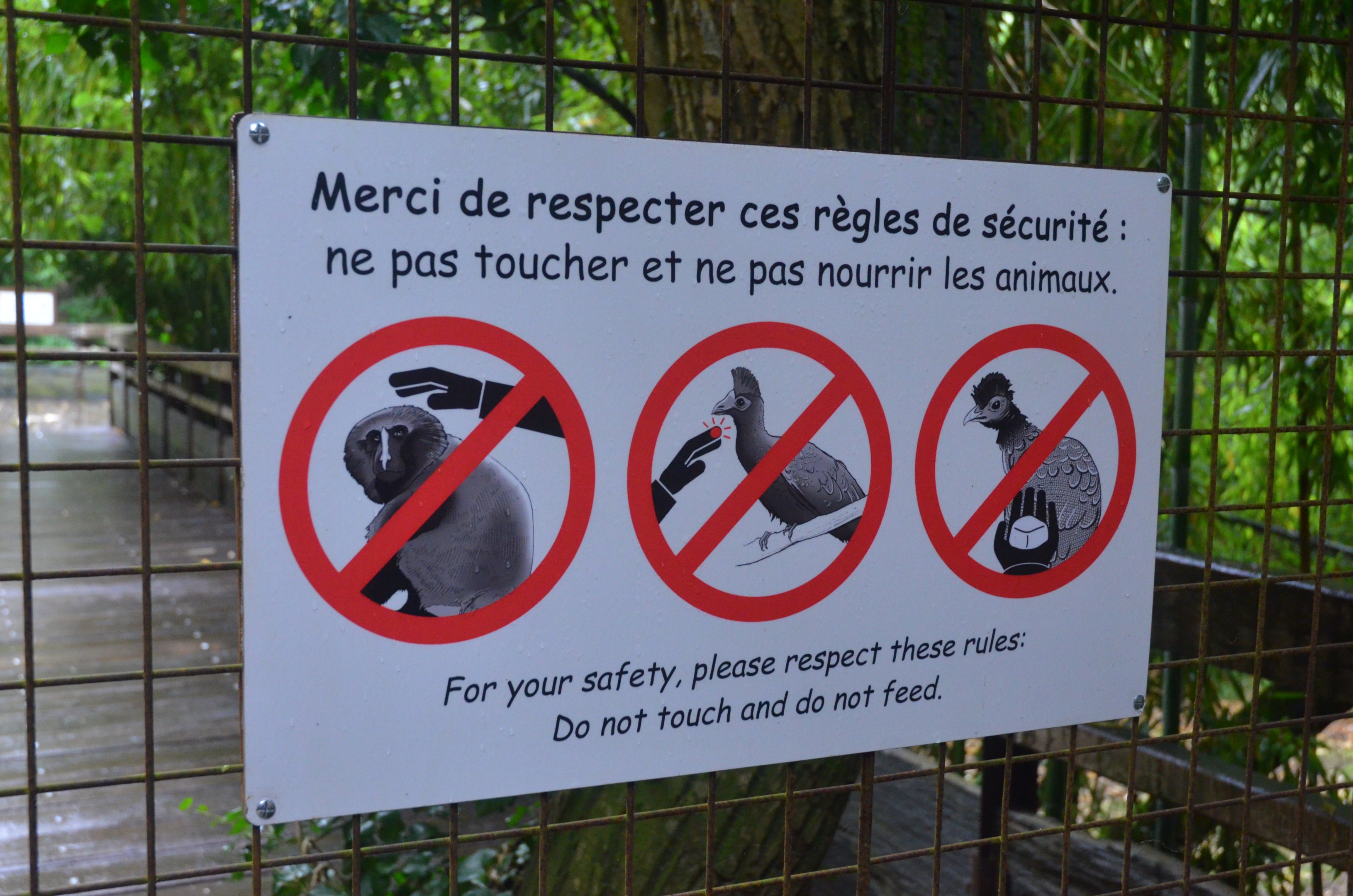 Okapi Sanctuary Aviary at Doué-la-Fontaine, 15/06/18